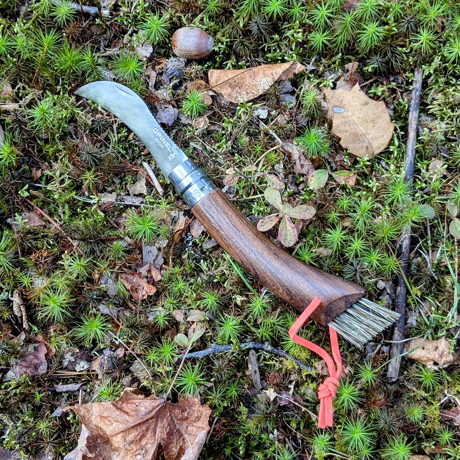 opinel-no-08-pilzmesser-sandvik-edelstahl-b-rste-buche image 5
