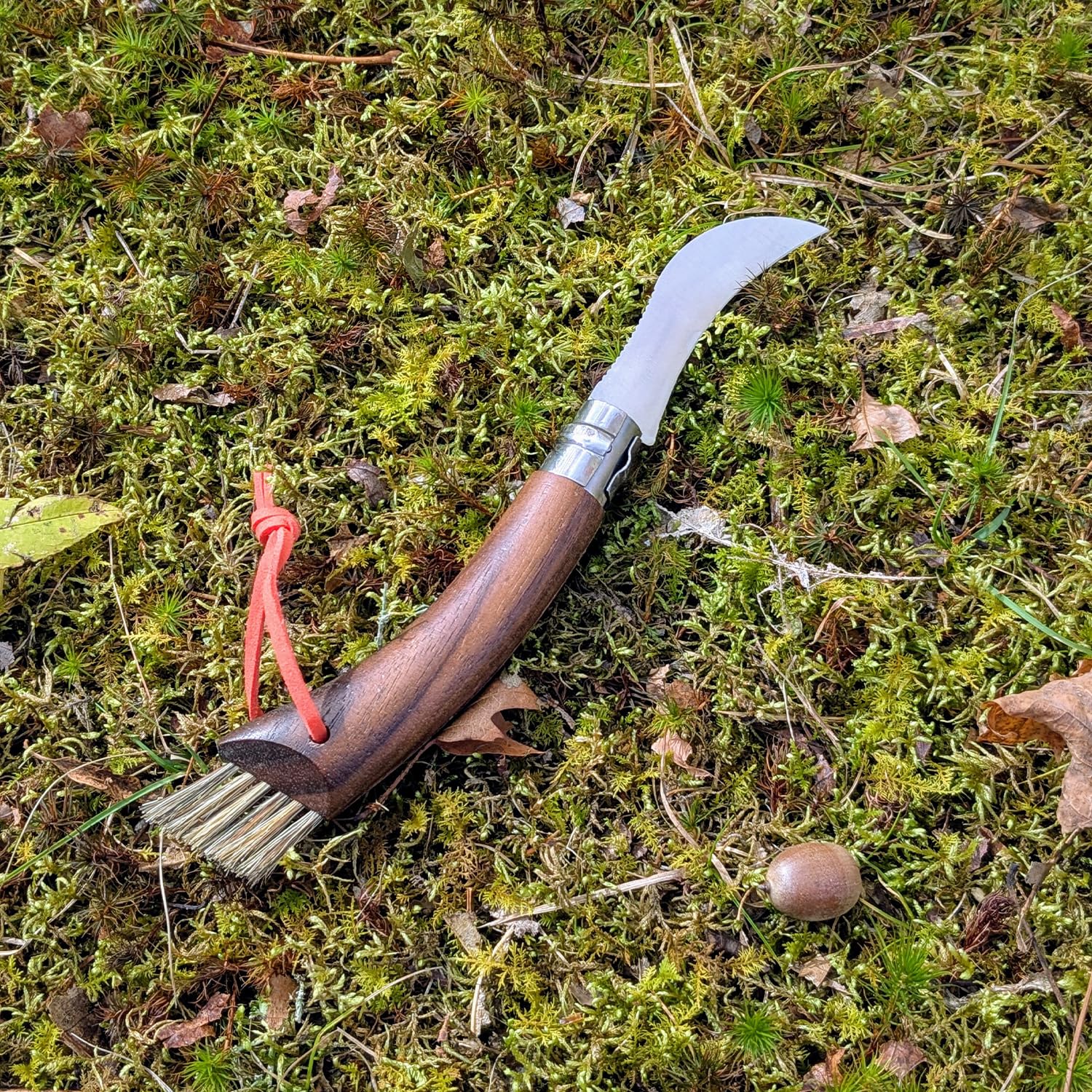 opinel-no-08-pilzmesser-sandvik-edelstahl-b-rste-buche image 6