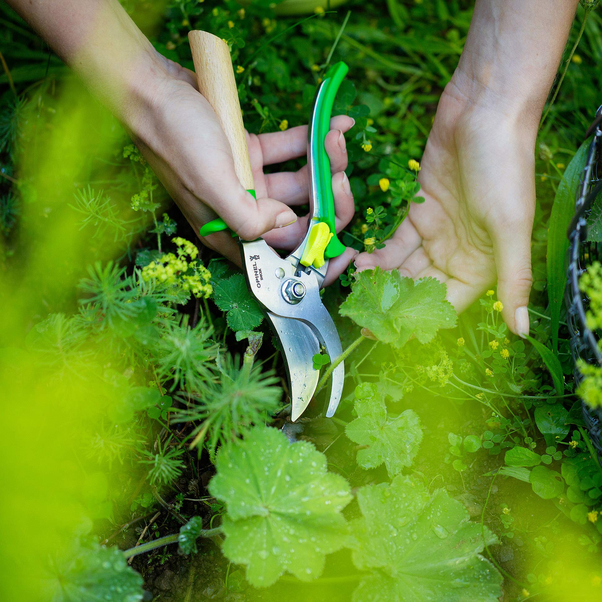 opinel-gartenschere-3-positionen-bis-20-mm image 7