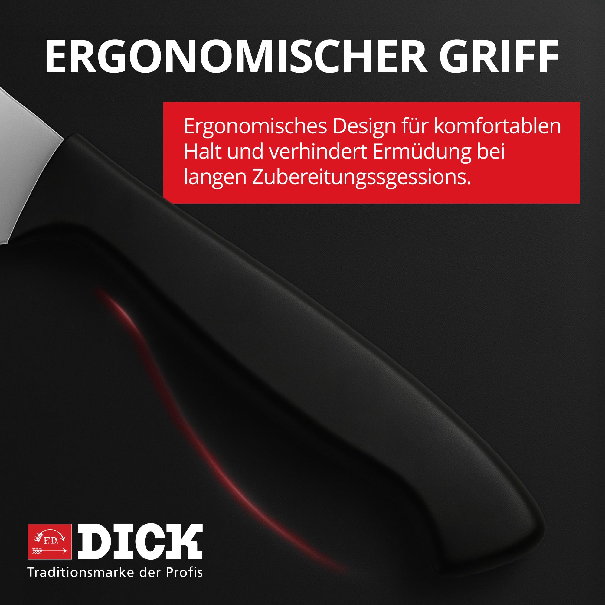 f-dick-prodynamic-messerset-10-teilig-buchenholzblock image 7