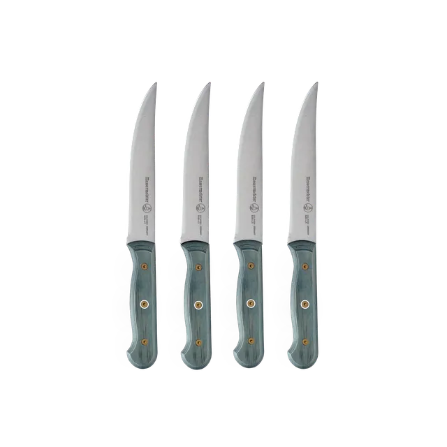 messermeister-custom-blue-steakmesserset-4-teilig image 1