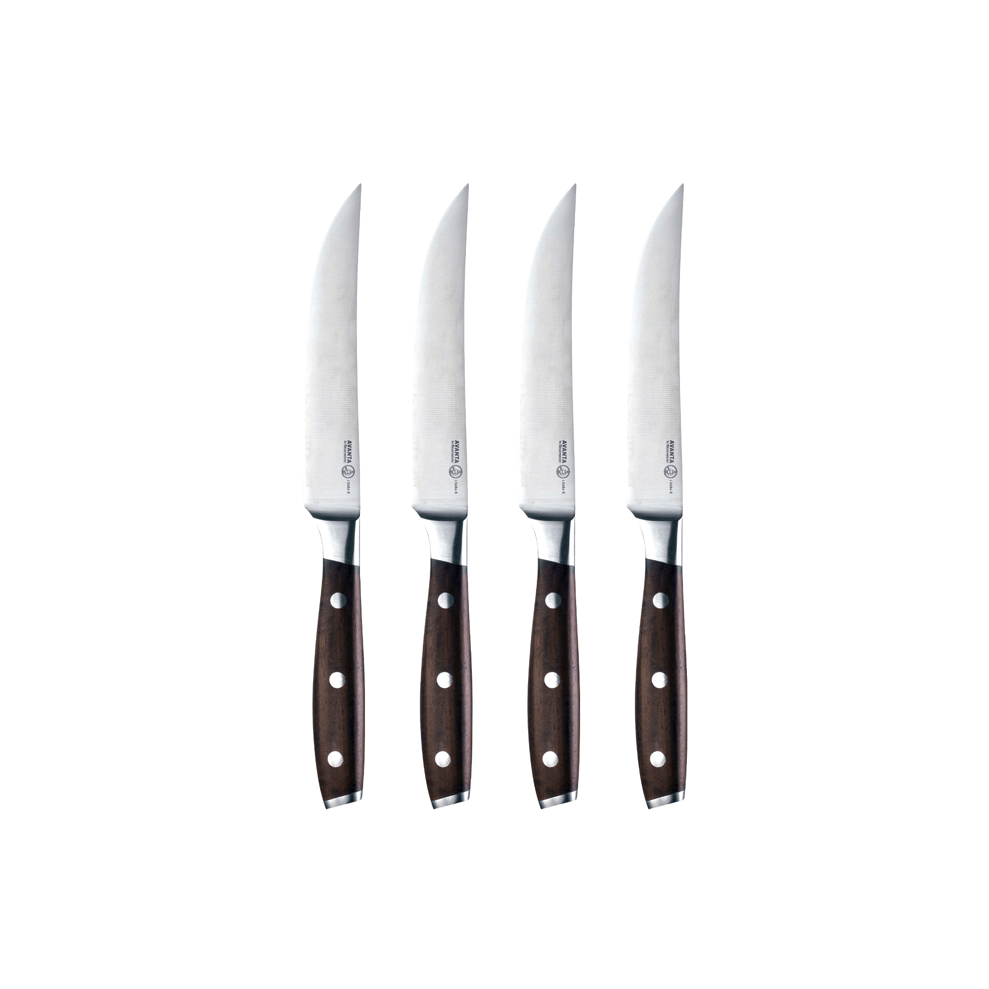 messermeister-avanta-steakmesser-set-4-teilig-smoked-teak image 2
