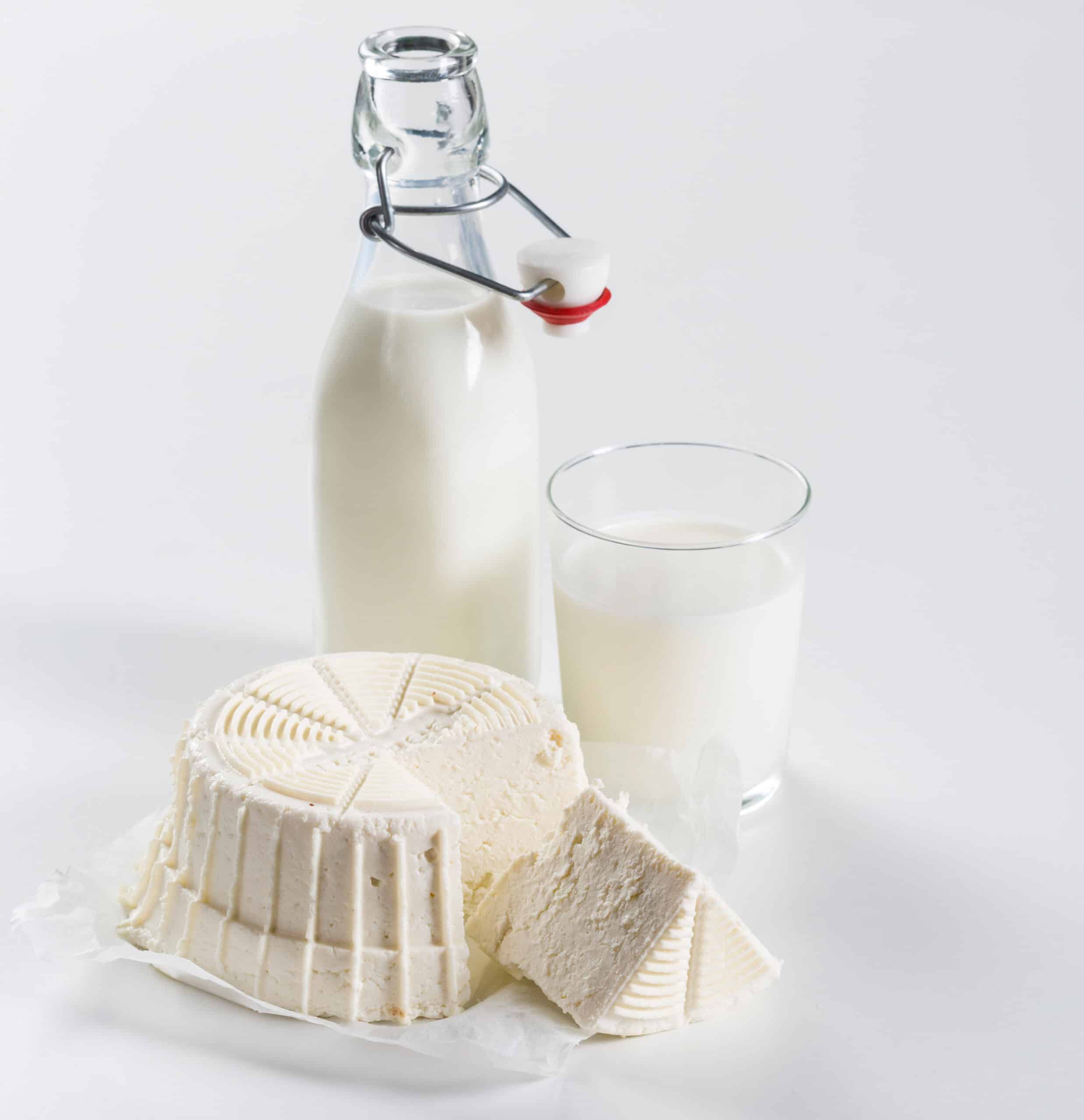 b-rner-cheesemaker-k-sebereiter-f-r-frischk-se-und-veganen-k-se image 3
