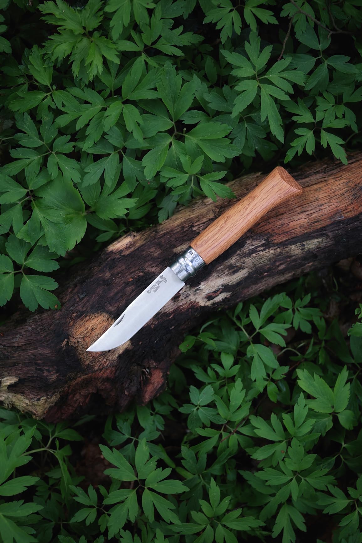 Schönes Picknickmesser