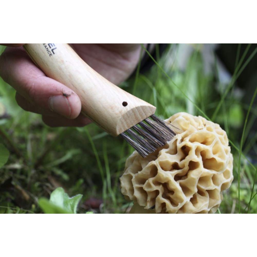opinel-pilzmesser-no-08-sandvik-stahl-buche-mit-wildschweinborsten-b-rste image 5