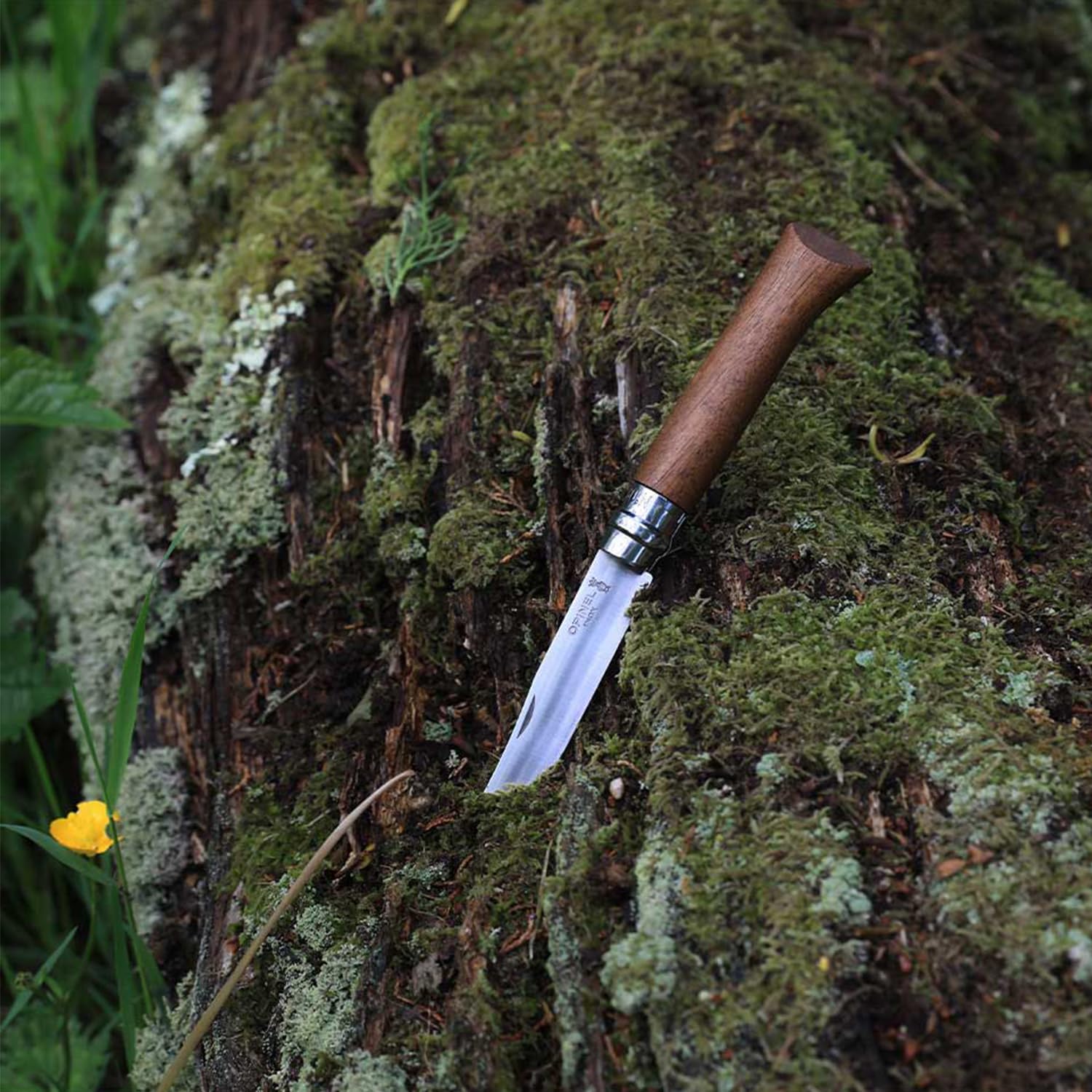opinel-inox-lux-walnut-klappmesser-mit-walnuss-griff image 6