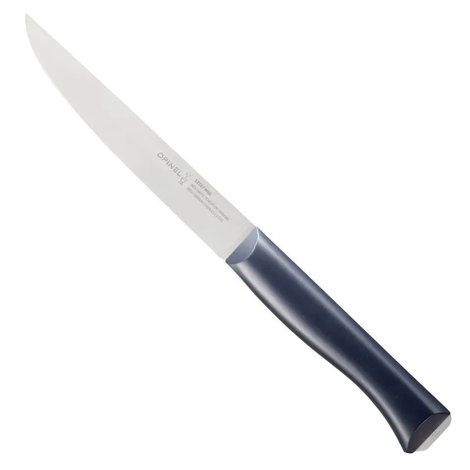 opinel-intempora-ii-fleischmesser-12c27m-full-tang image 1