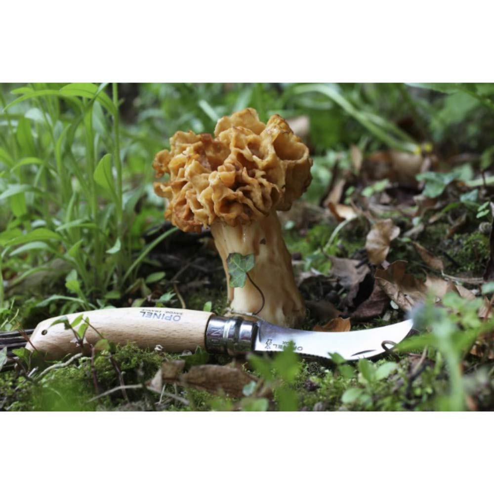 opinel-pilzmesser-no-08-sandvik-stahl-buche-mit-wildschweinborsten-b-rste image 4