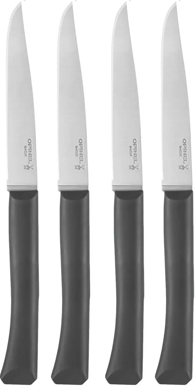 opinel-bon-appetit-tafelmesser-set-anthrazit-tafelmesser-set image 1
