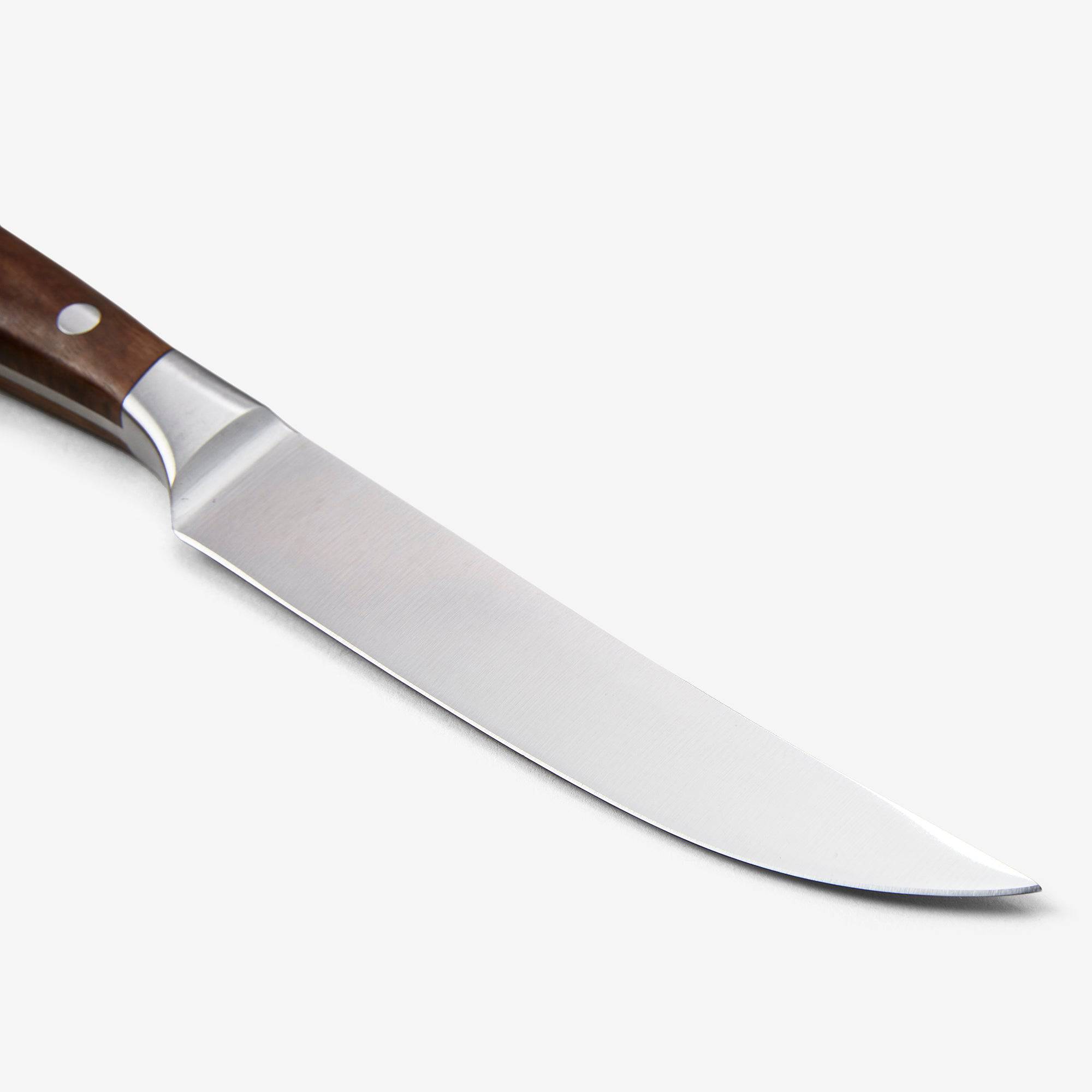 messermeister-avanta-steakmesser-set-4-teilig-smoked-teak image 5